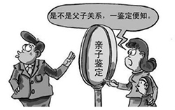 贵阳隐私亲子鉴定办理条件，贵阳个人亲子鉴定收费多少钱