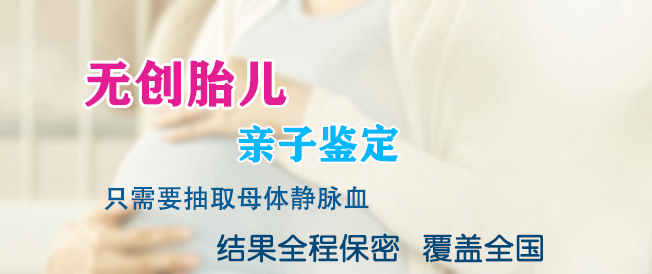 怀孕了贵阳如何办理产前亲子鉴定,贵阳做怀孕亲子鉴定准确吗